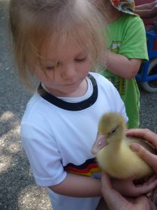 Holzheim Kita2025 19