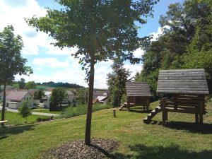 Dorfberg, Bergendorf